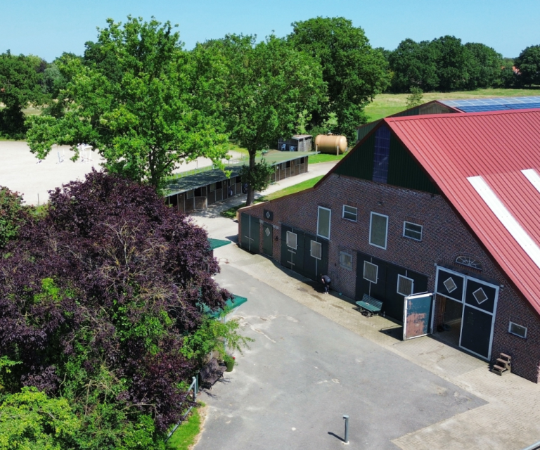 Schäferhof in Hesel - Penionsstall und Dressurausbildung