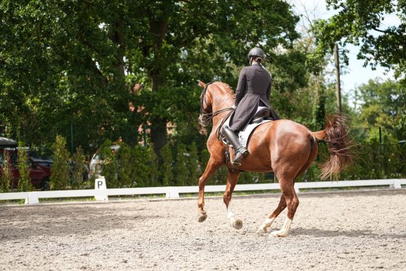 Reiter trainiert mit seinem Pferd auf dem Außenreitplatz
